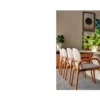 Cadeira de Jantar Coral Tapeçada com Braço - Imagem 4